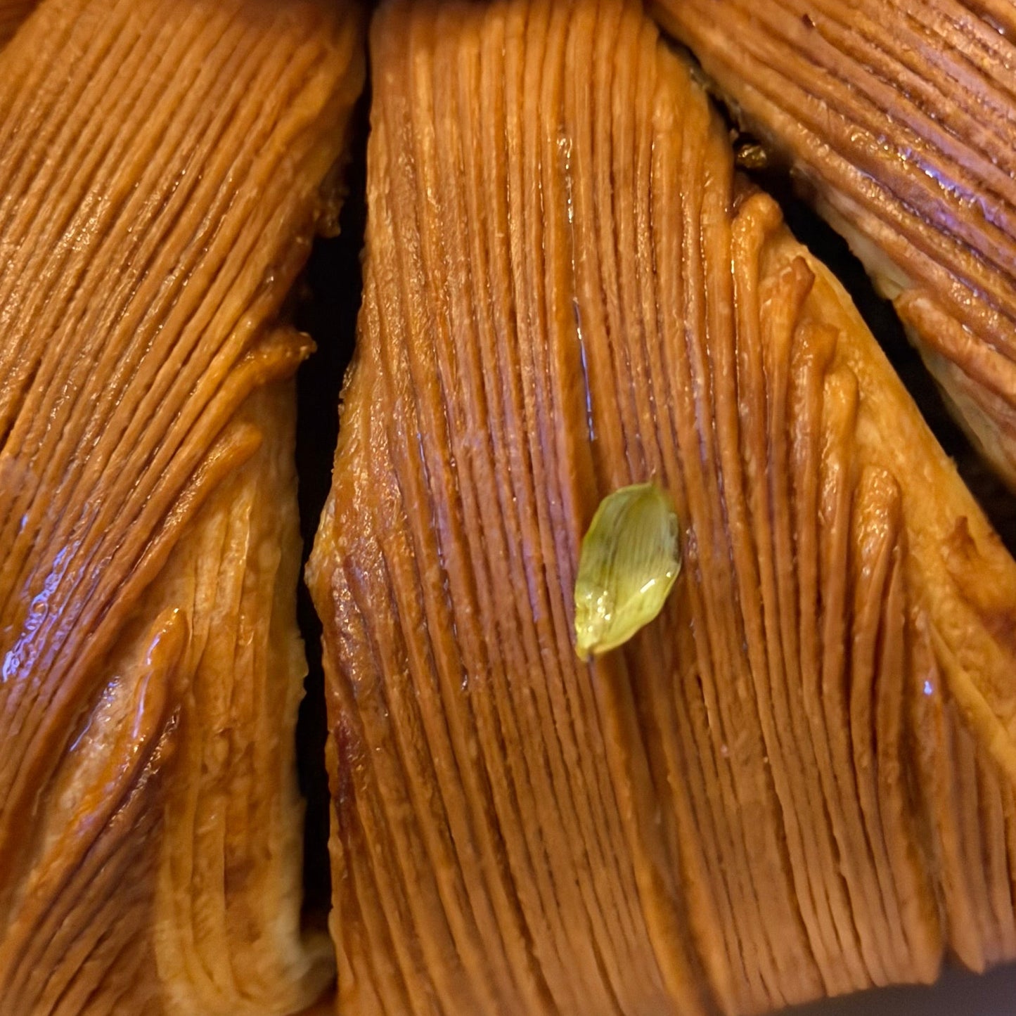 Cardamom Glory